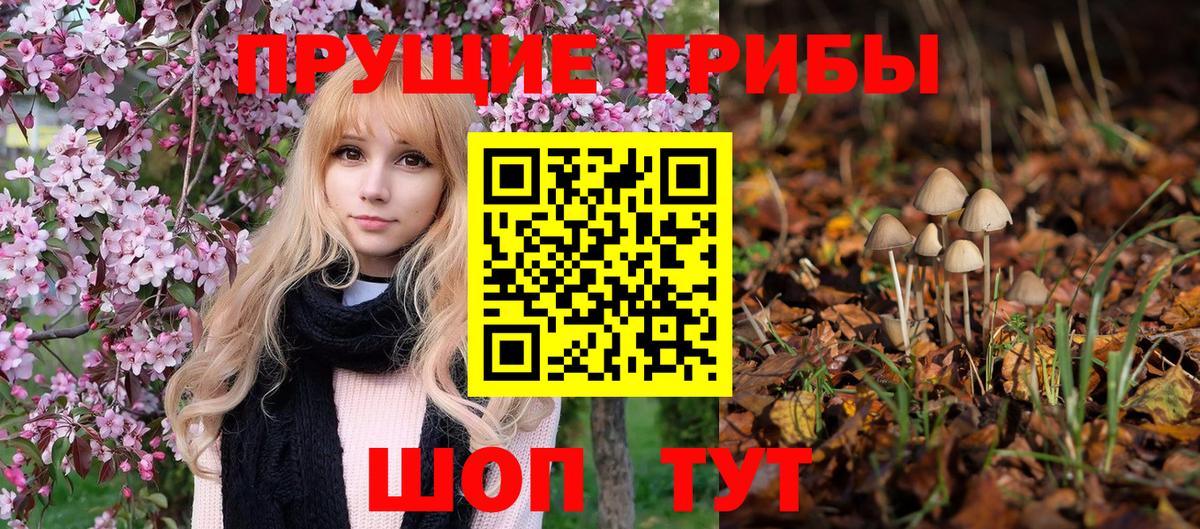 Галлюциногенные грибы GOLDEN TEACHER  Вход с VPN  Трёхгорный 